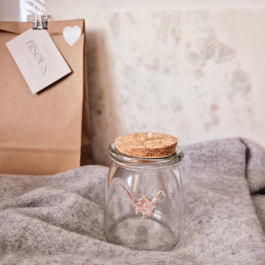 DIY Pakket voor Kraanvogel Vouwen